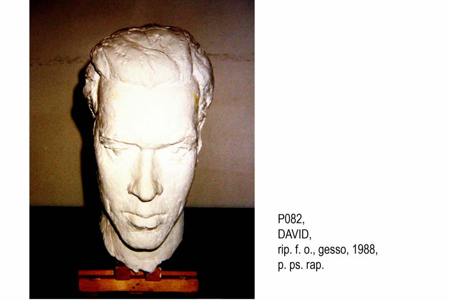 2150-48P082 DAVID FAO Gips 1988 VP